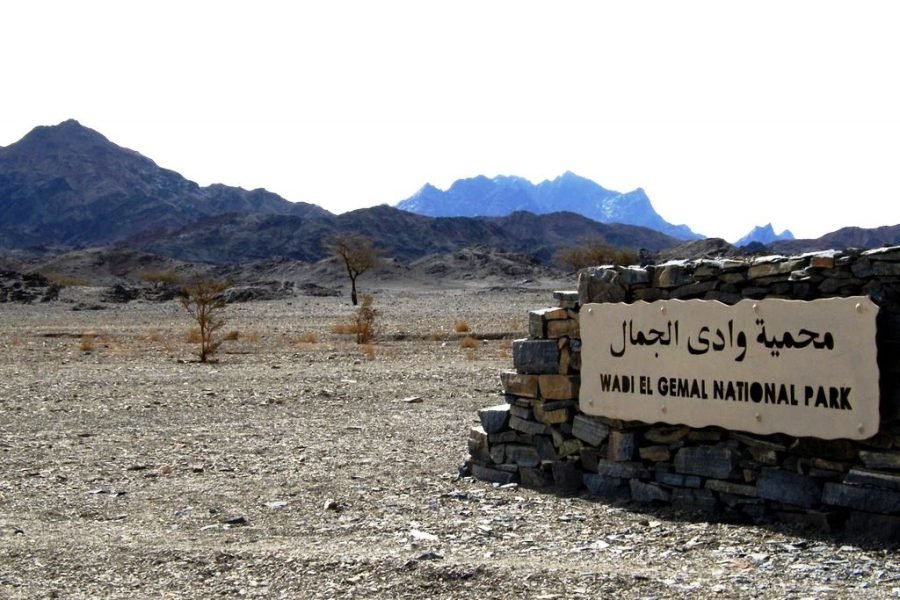 Wadi El Gemal